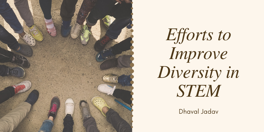 Efforts to Improve Diversity in STEM